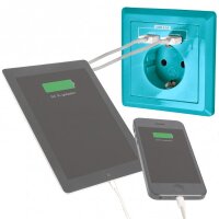 Blau - Minadax Schuko Steckdose mit 2 x USB Anschluss