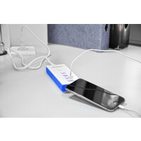 Minadax universelles 5 Volt 4,2 Ampere 4-Port USB Ladegeraet Leiste fuer Smartphone, Tablet PC etc in ruhigem Blau